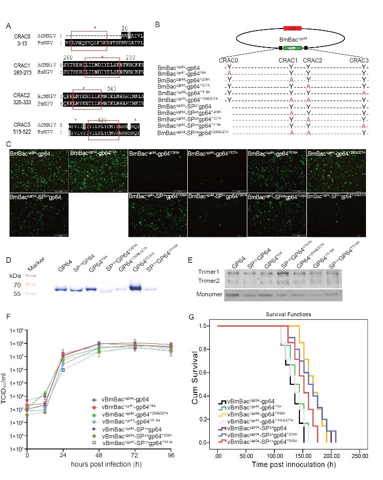 1640329712240916.jpg 图片1.jpg